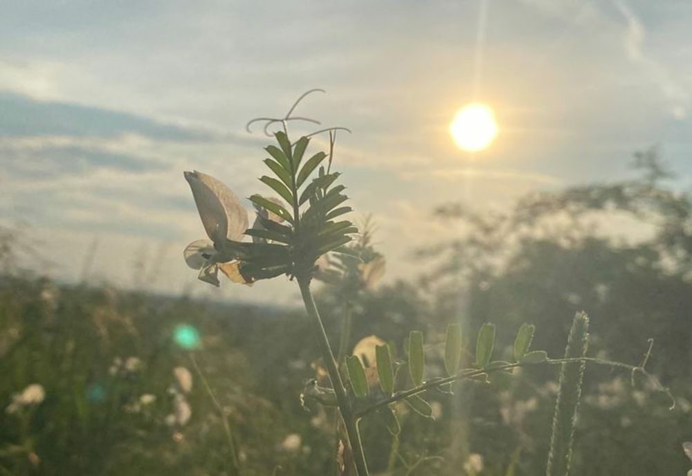 Vreme rece în vestul țării