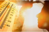 Canicula și pericolul mașinilor închise pentru copii