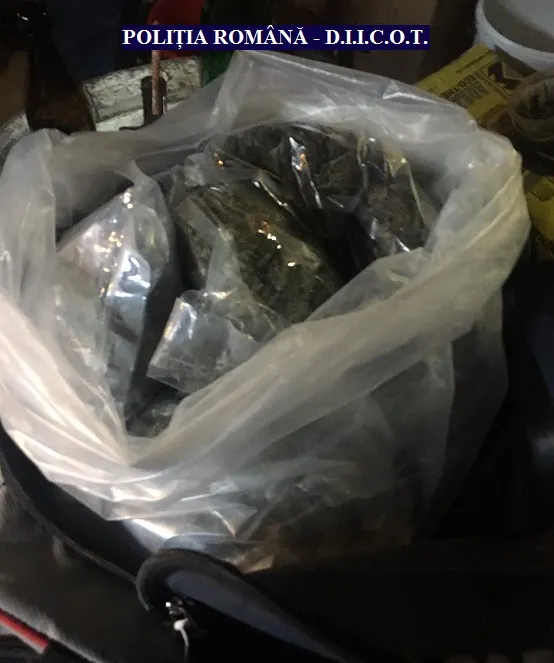 ARADCU 00 CANNABIS DIICOT ARAD VI14DEC (1)