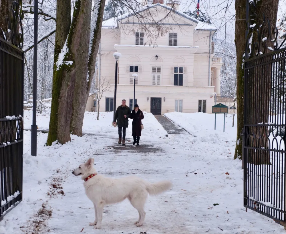 ARADCU 00 MARGARETA SAVARSIN SA22DEC 2