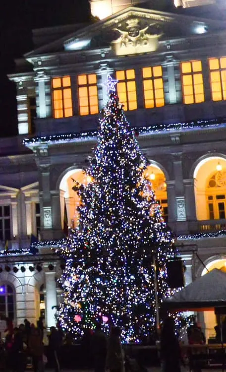 ARADCU 00 PRIMARIE MOS NICOLAE BRAD CRACIUN PRIMAR GHEORGHE FALCA MI05DEC