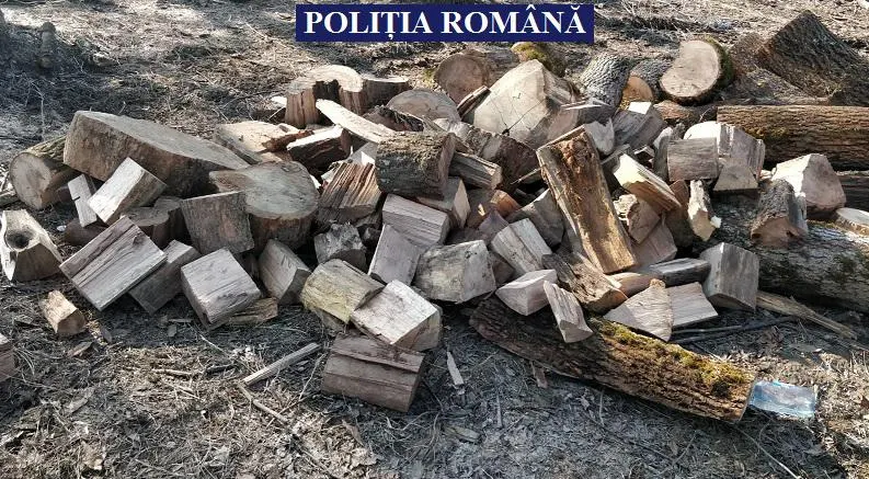 ARADCU 00 LEMNE POLITIA ARAD MI06FEB (1)