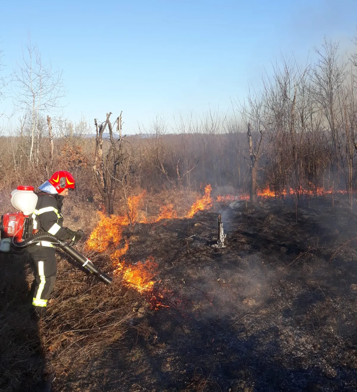 ARADCU 00 INCENDIU VEGETATIE USCATA ISU ARAD SA23MART 6