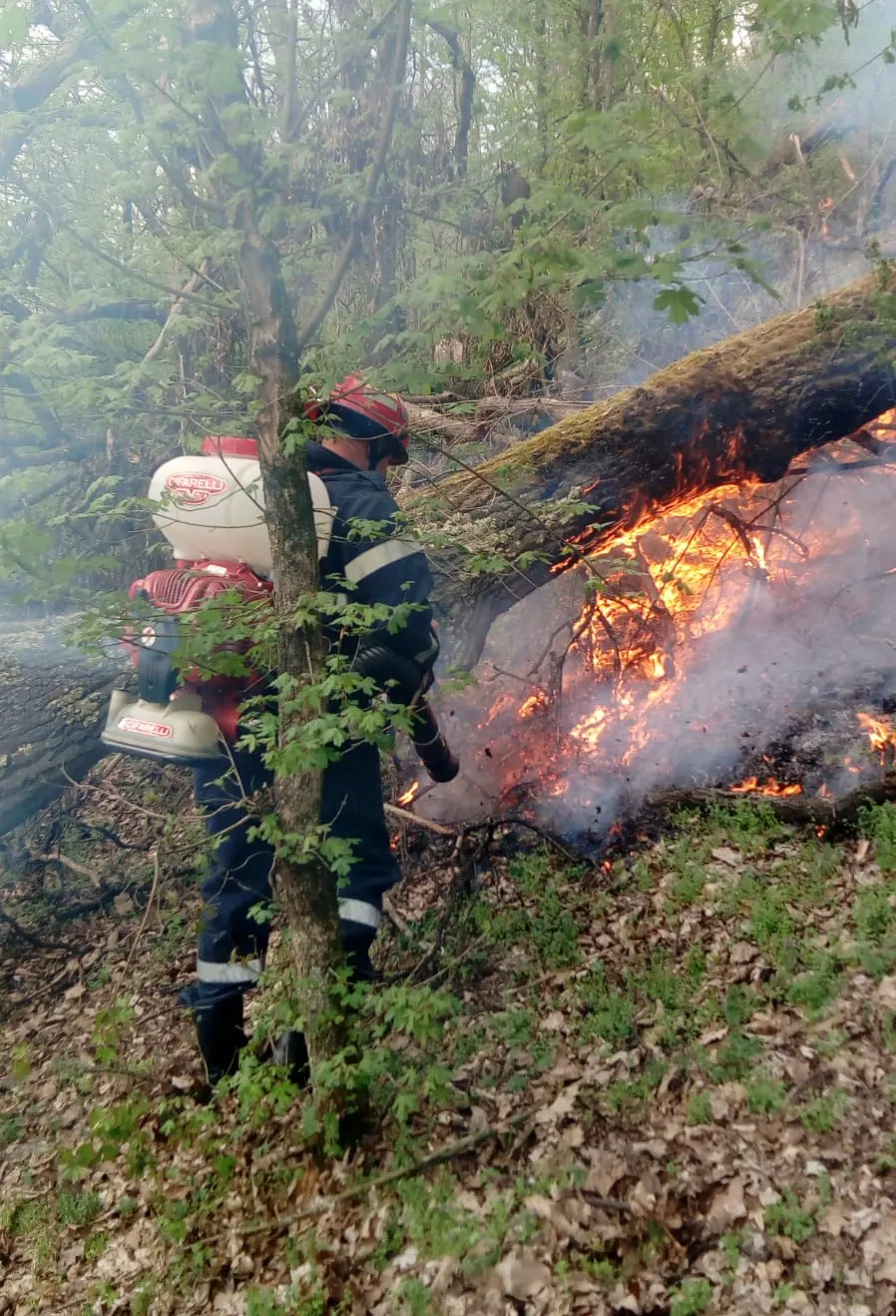 ARADCU 00 ISU ARAD DUM07APR (5)
