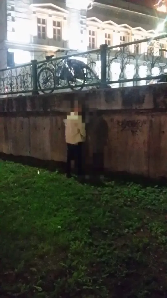 ARADCU 00 POLITIA LOCALA ARAD LU20MAI (3)