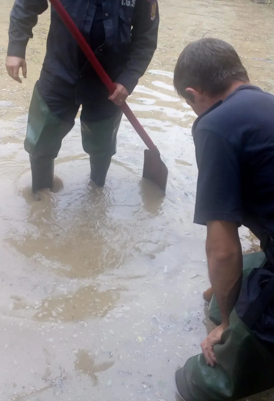 ARADCU 00 INUNDATII ISU ARAD LU10IUN (1)
