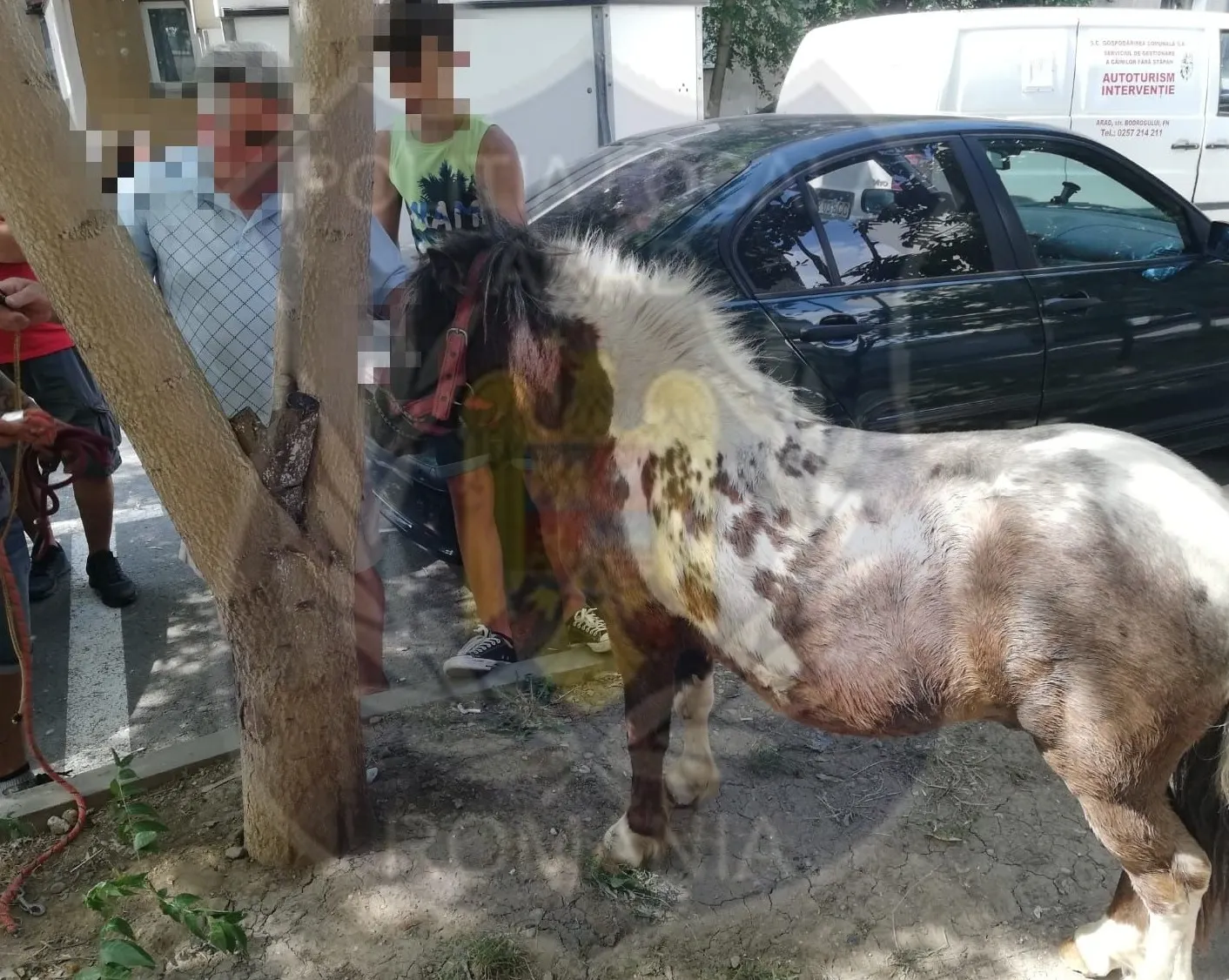 ARADCU 00 PONEI POLITIA LOCALA ARAD PRIMARIA MUNICIPIULUI ARAD MI28UG (2)