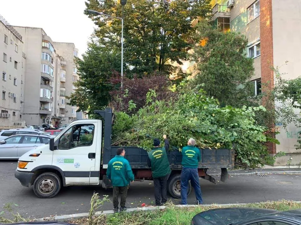 ARADCU CURATENIA TOAMNA MUNCTORI PRIMARIE LU14OCT 2