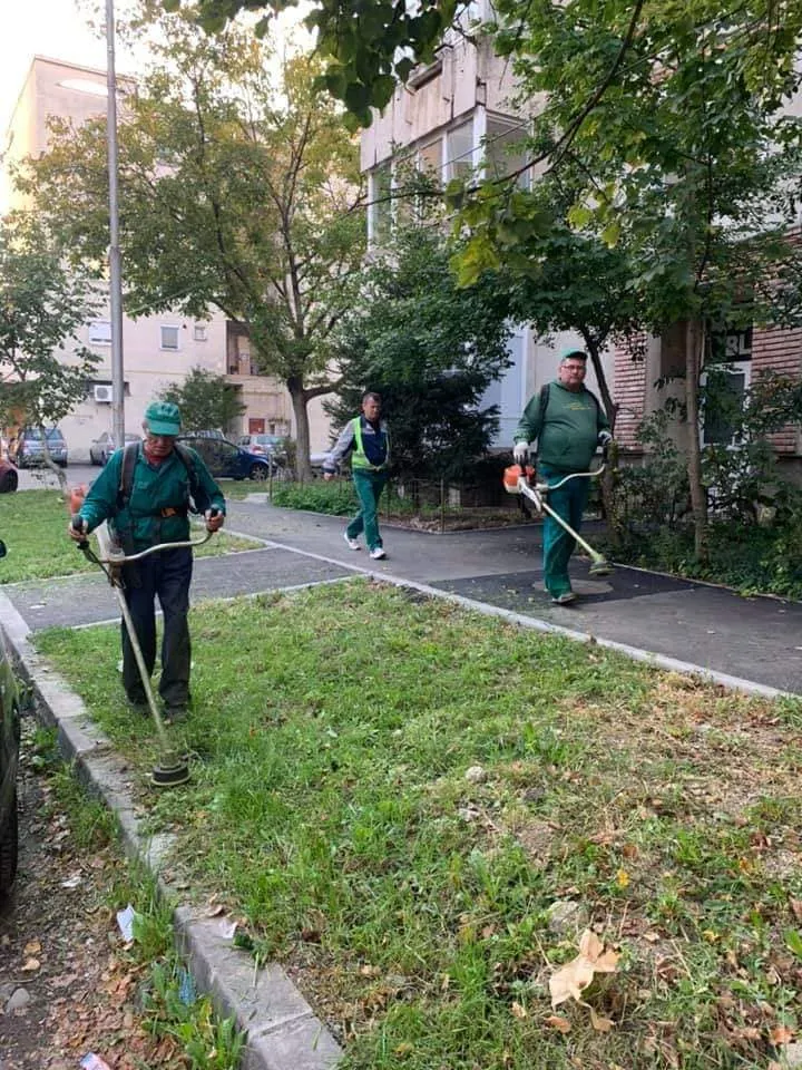 ARADCU CURATENIA TOAMNA MUNCTORI PRIMARIE LU14OCT 3