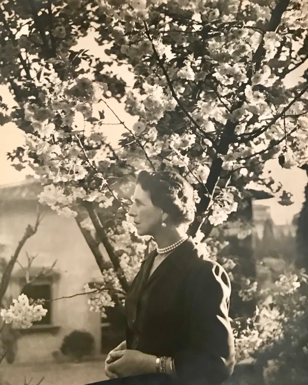 Regina-Elena-a-Romaniei-anii-1950-2