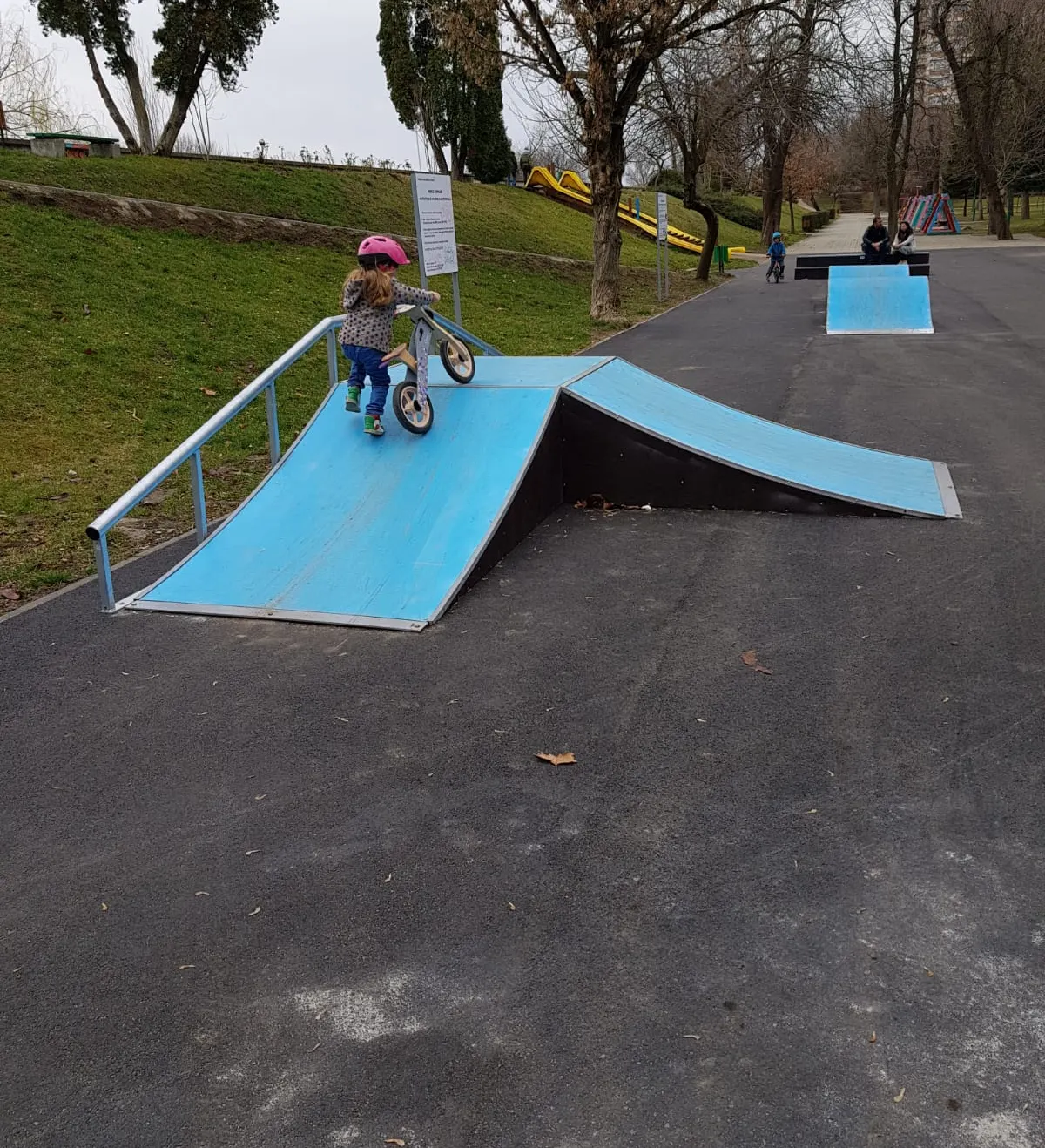 ARADCU 00 PARC TOROK ZSOLT PRIMARIA MUNICIPIULUI ARAD JOI12MART (1)