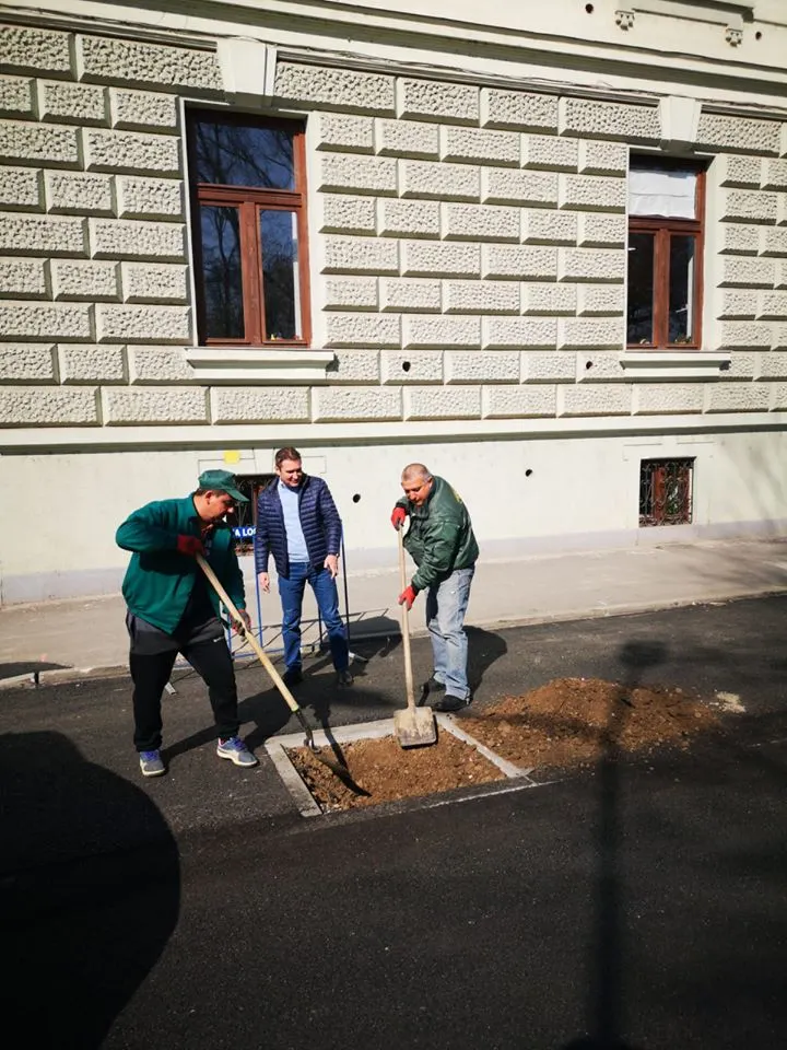 ARADCU 00 COPACI CALIN BIBART JOI09APR