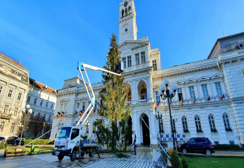Bradul chel, proptit de Sărbători în centrul Aradului, devenit ținta ironiilor pe rețelele de socializare, va fi înlocuit