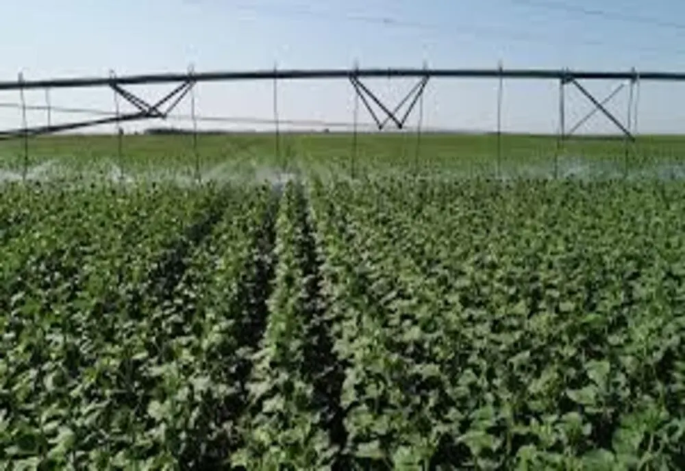 Ministrul Agriculturii promite refacerea sistemelor de drenare a apei din Banat