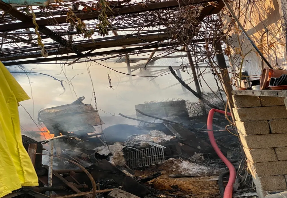 Un incendiu pornit de la o afumătoare a pus în pericol mai multe gospodării. VIDEO