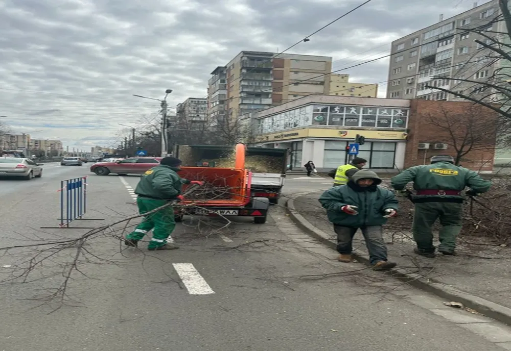 La Arad se execută lucrări de toaletare și corecție a arborilor 