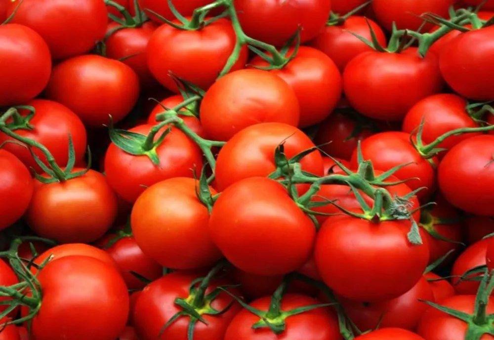 Pregătiri pentru o nouă ediție a Festivalului Părădăicilor de la Macea