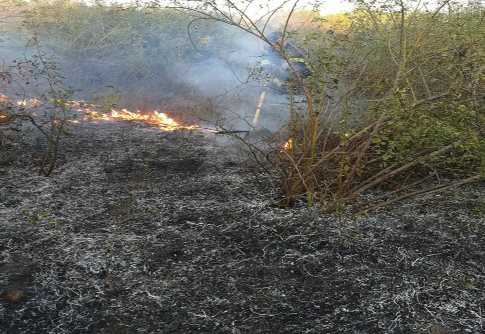 Incendiu greu de stins în Arad