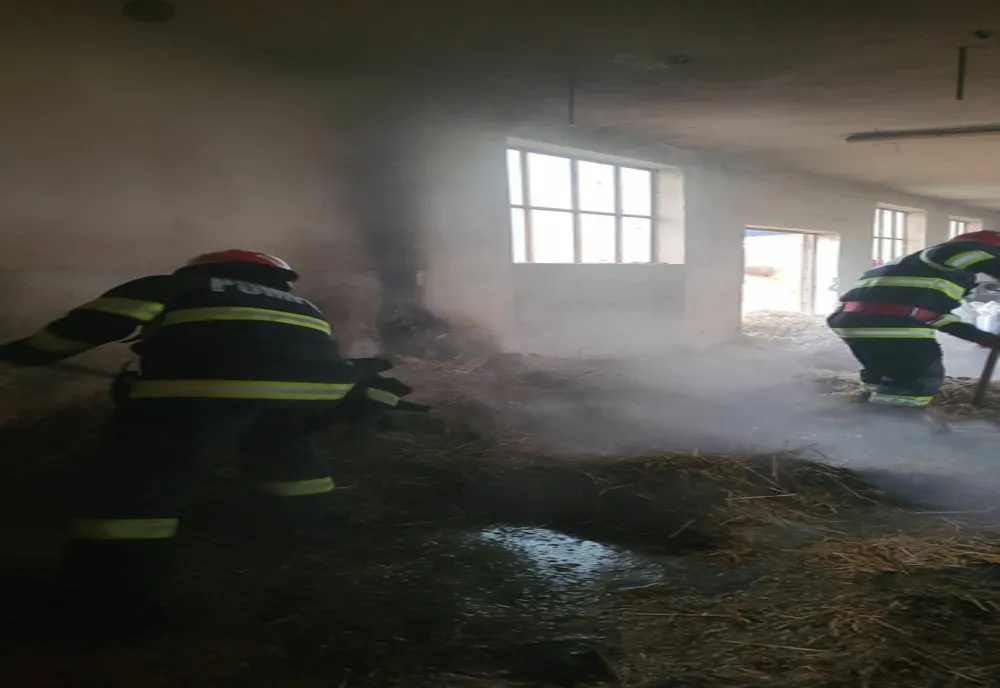 Incendiu izbucnit în hala de producție a unei fabrici de peleți din județul Arad