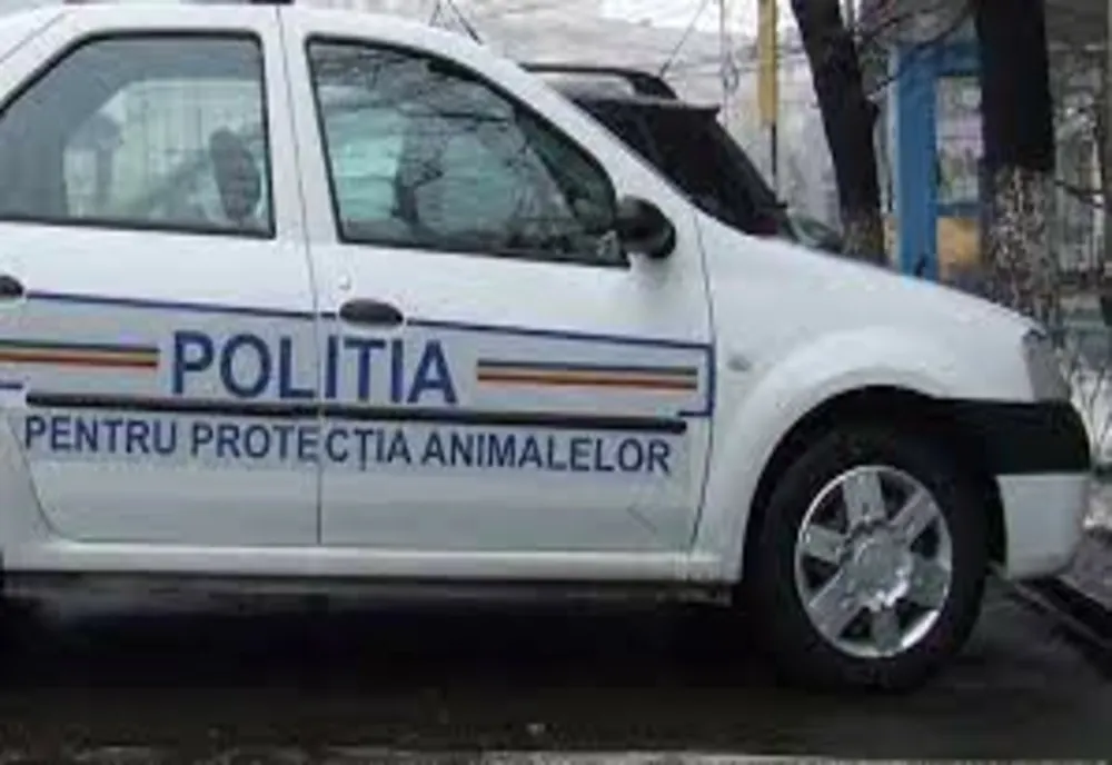 Câini uciși cu cruzime, în județul Arad