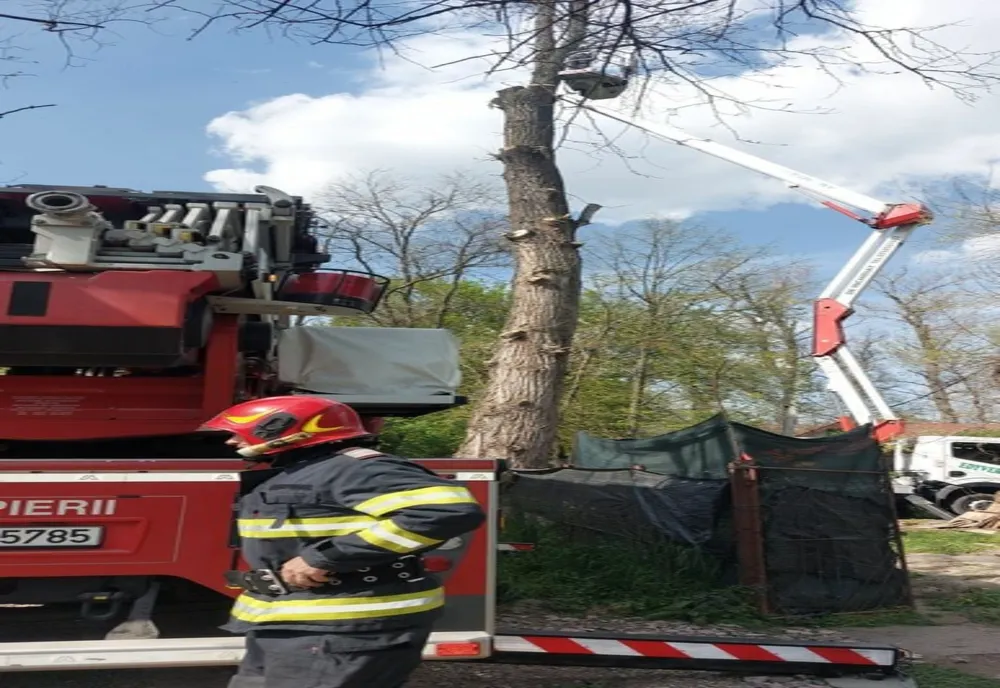 Pompierii arădeni au salvat un bărbat rămas blocat la peste 20 de metri înălțime, în timp ce tăia niște crengi