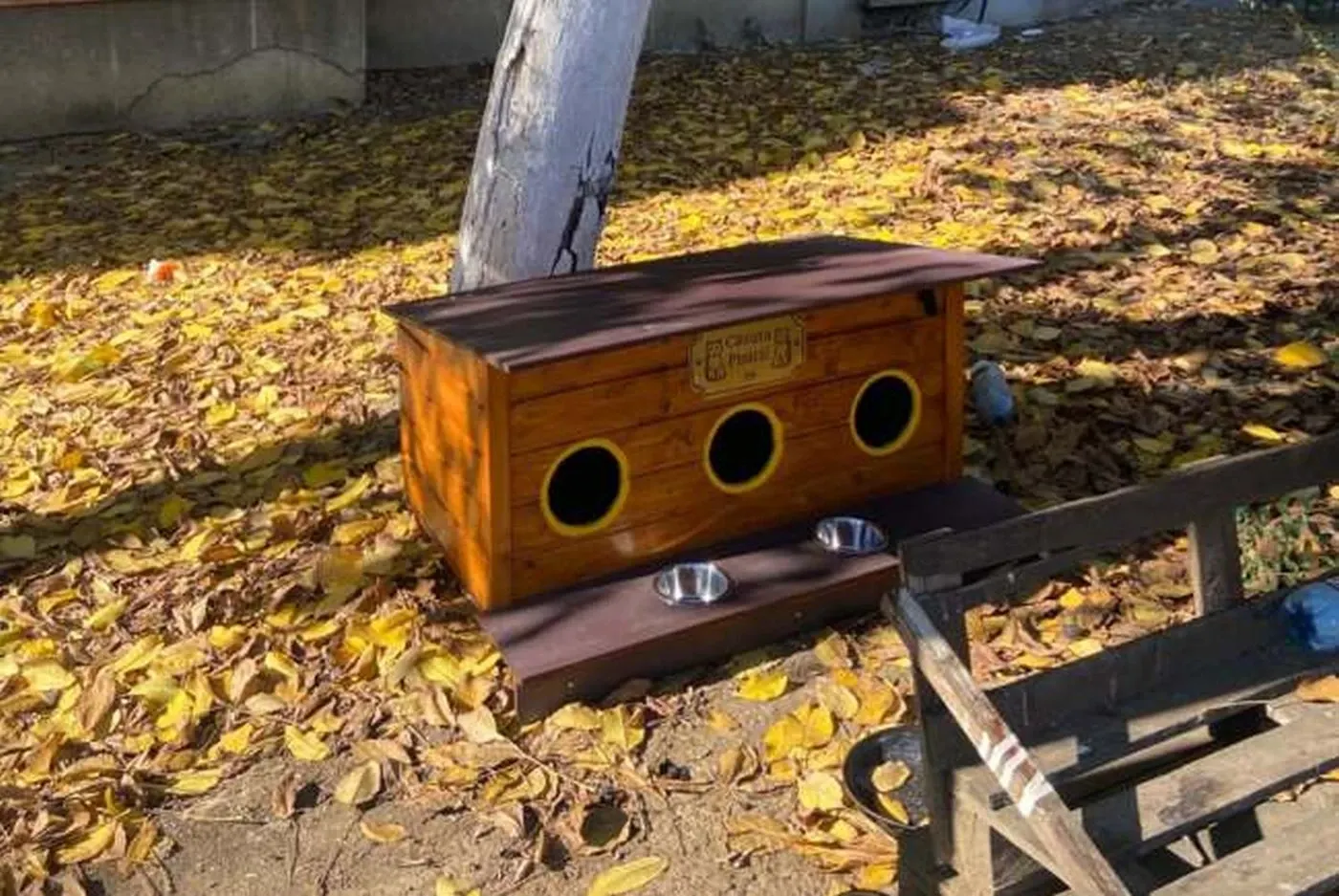 Căsuțe pentru pisici