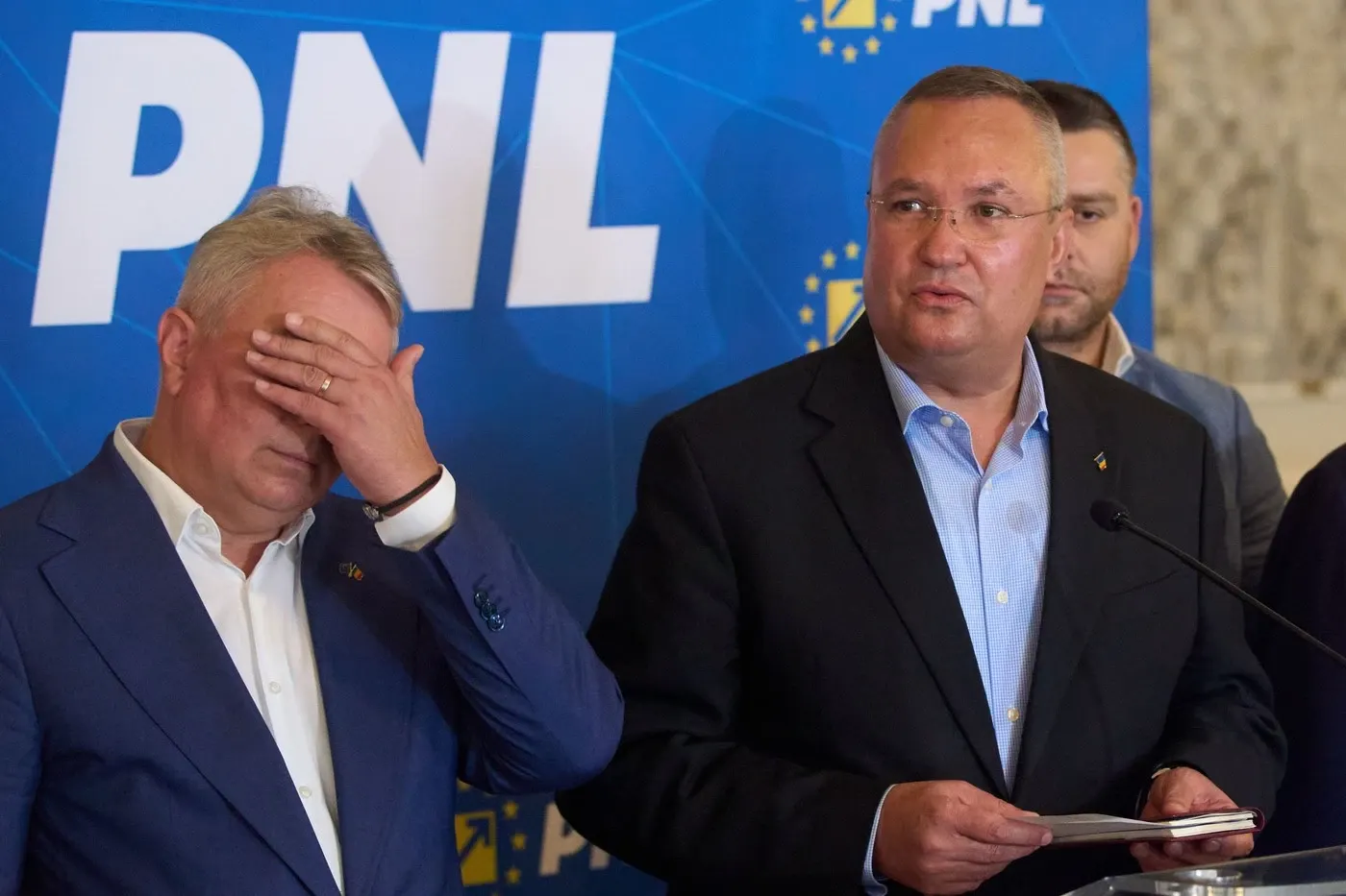 Nicolae Ciucă, fostul lider PNL / Profimedia