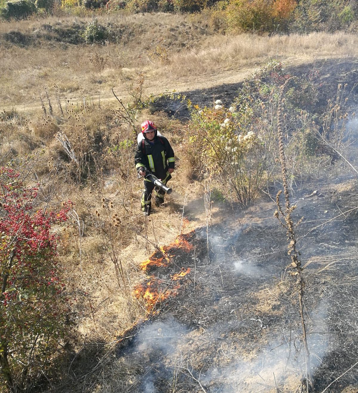 ARADCU ISU VI12OCTSA13OCT (1)