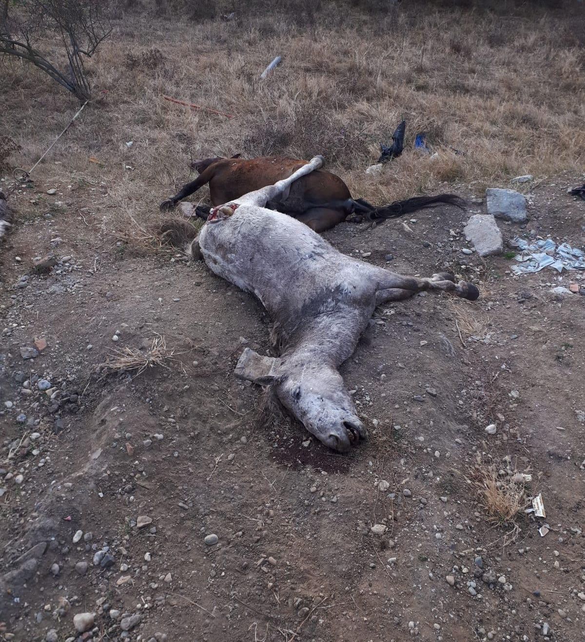 ARADCU 00 CAI DSVSA JOI01NOV (1)