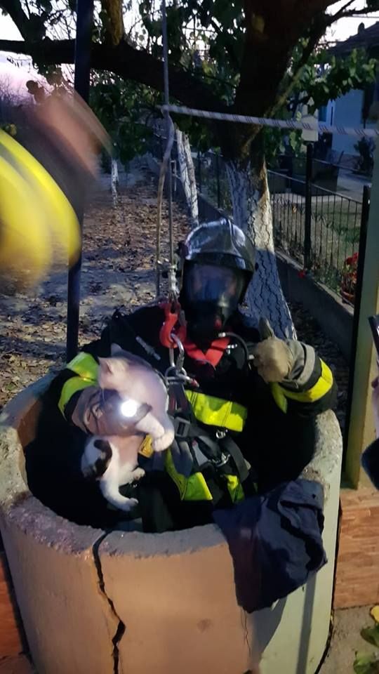 ARADCU 00 ISU ARAD MI14NOV 2