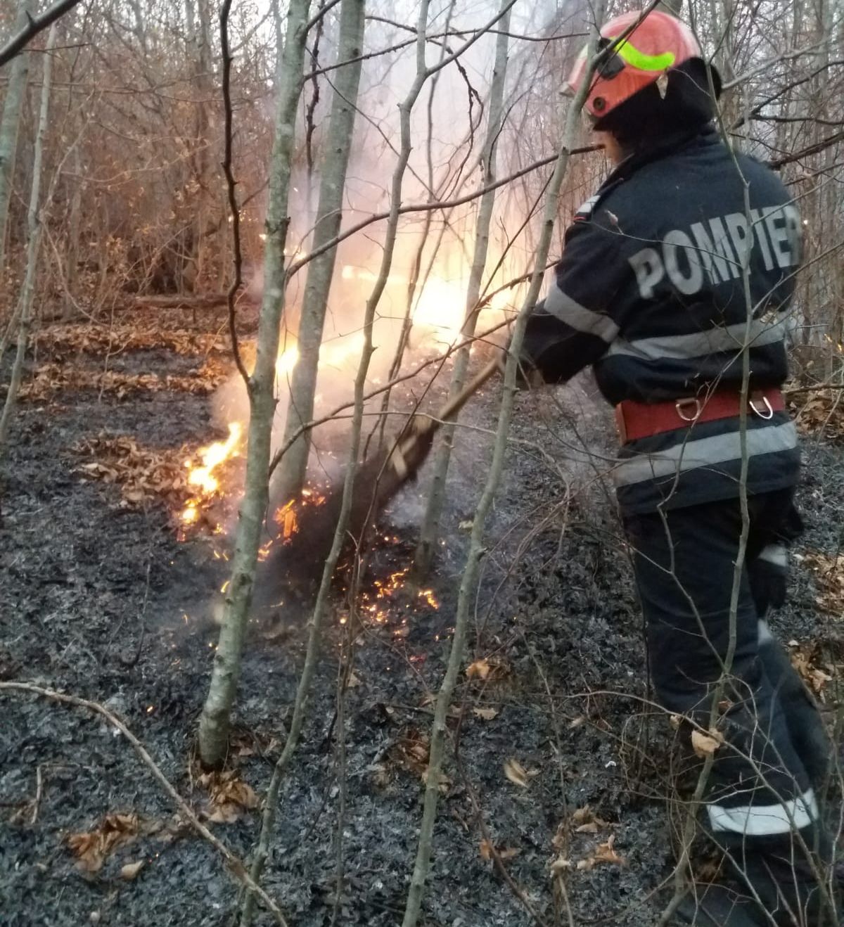 ARADCU ISU ARAD MA06NOV (1)