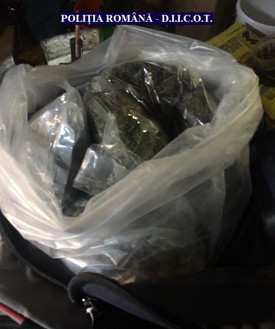 ARADCU 00 CANNABIS DIICOT ARAD VI14DEC (1)