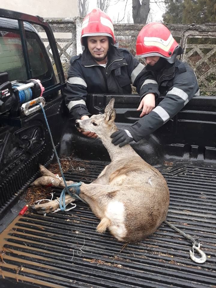 ARADCU 00 CAPRIOARA ISU ARAD VI28DEC 4