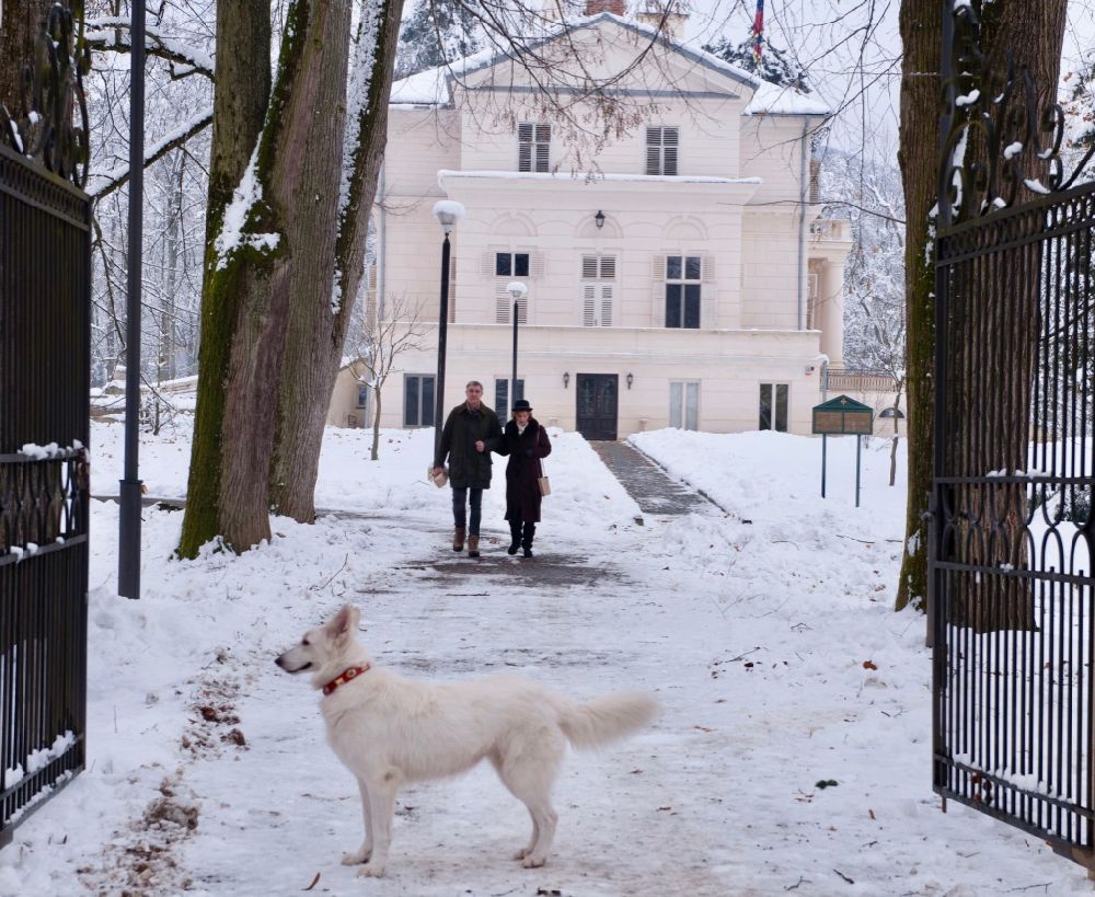 ARADCU 00 MARGARETA SAVARSIN SA22DEC 2