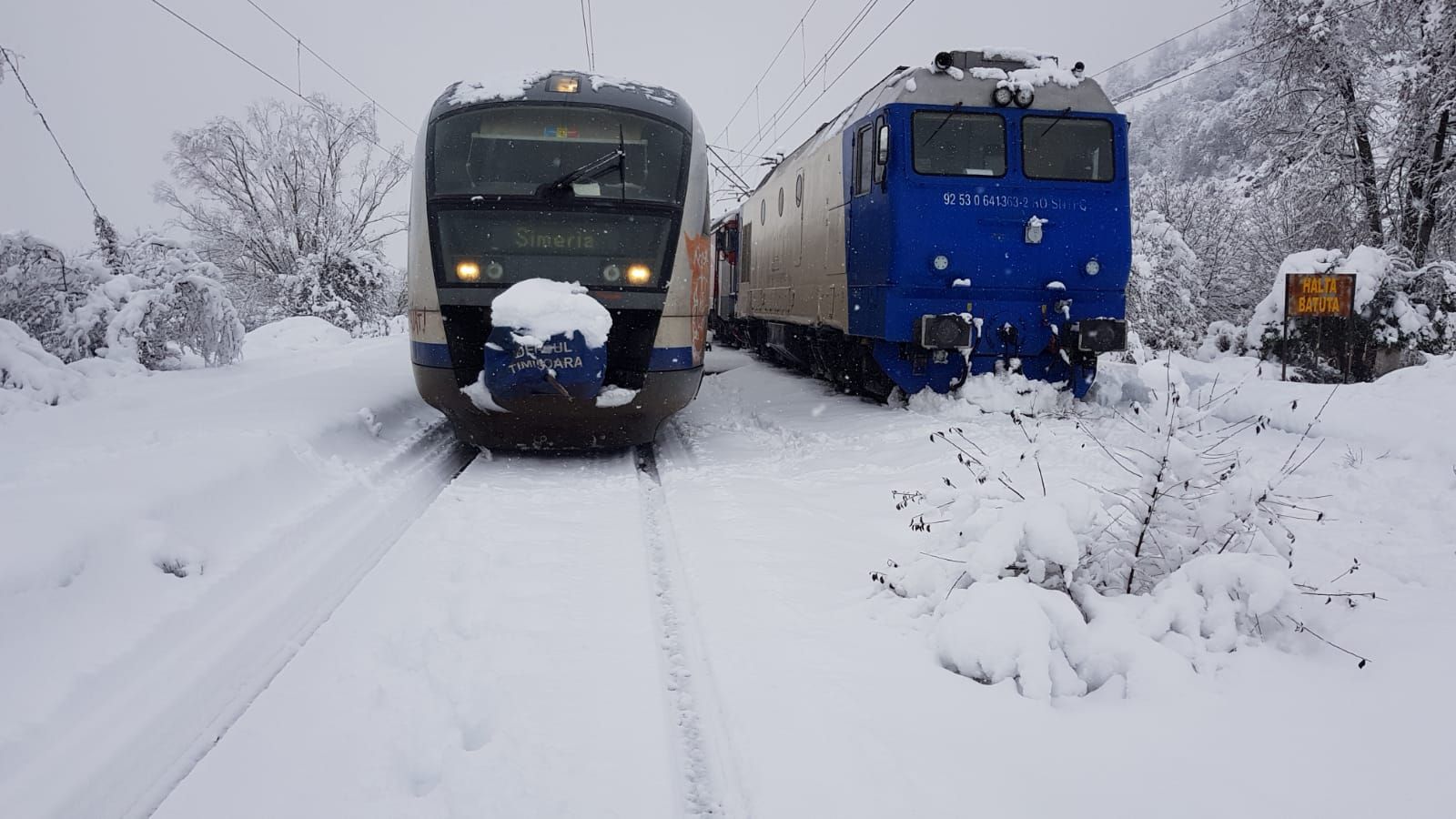 ARADCU 00 TREN BLLOCAT DUM16DEC (7)