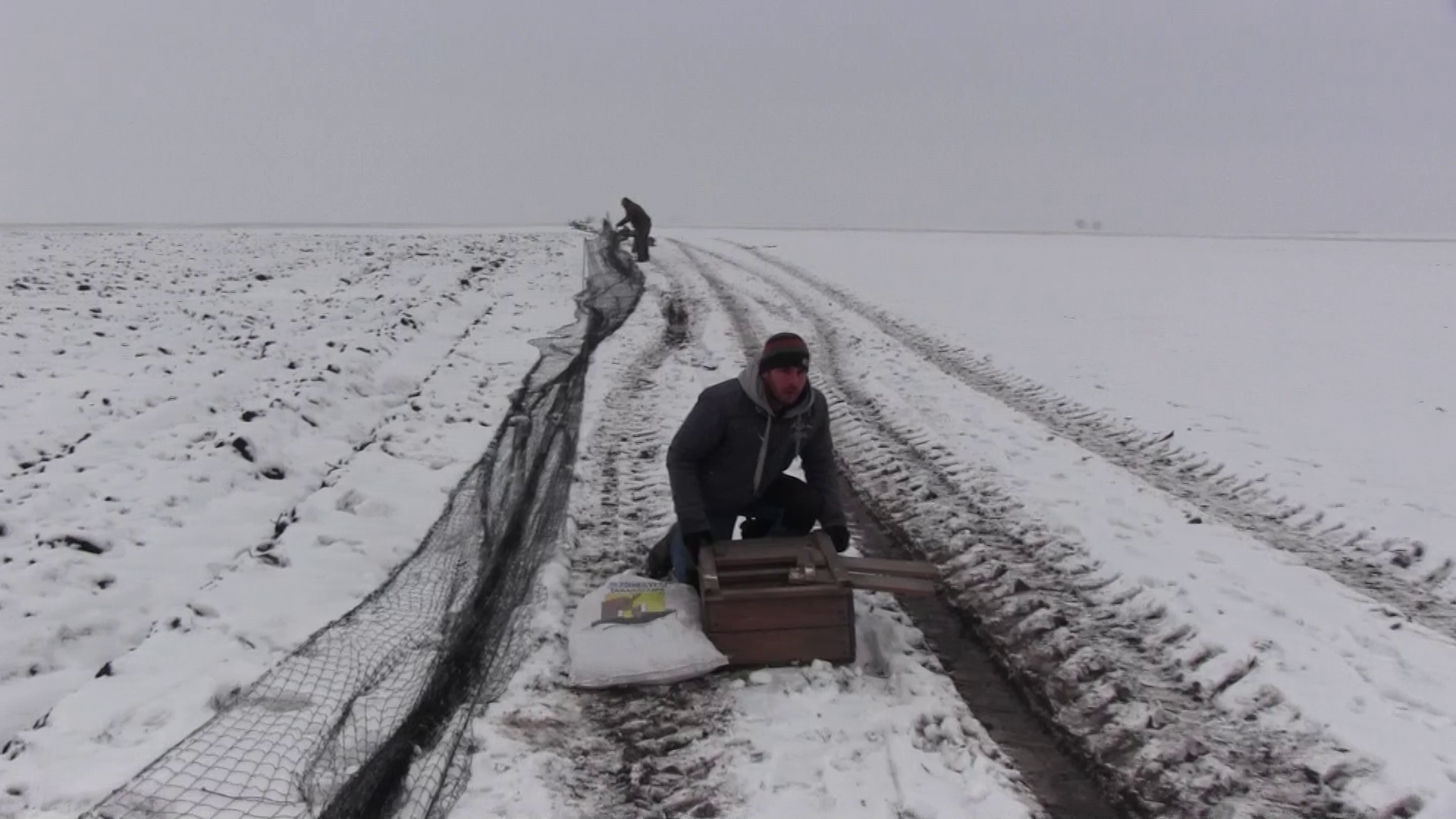 ARADCU 00 IEPURI DE CAMP VANATORI LU21IAN
