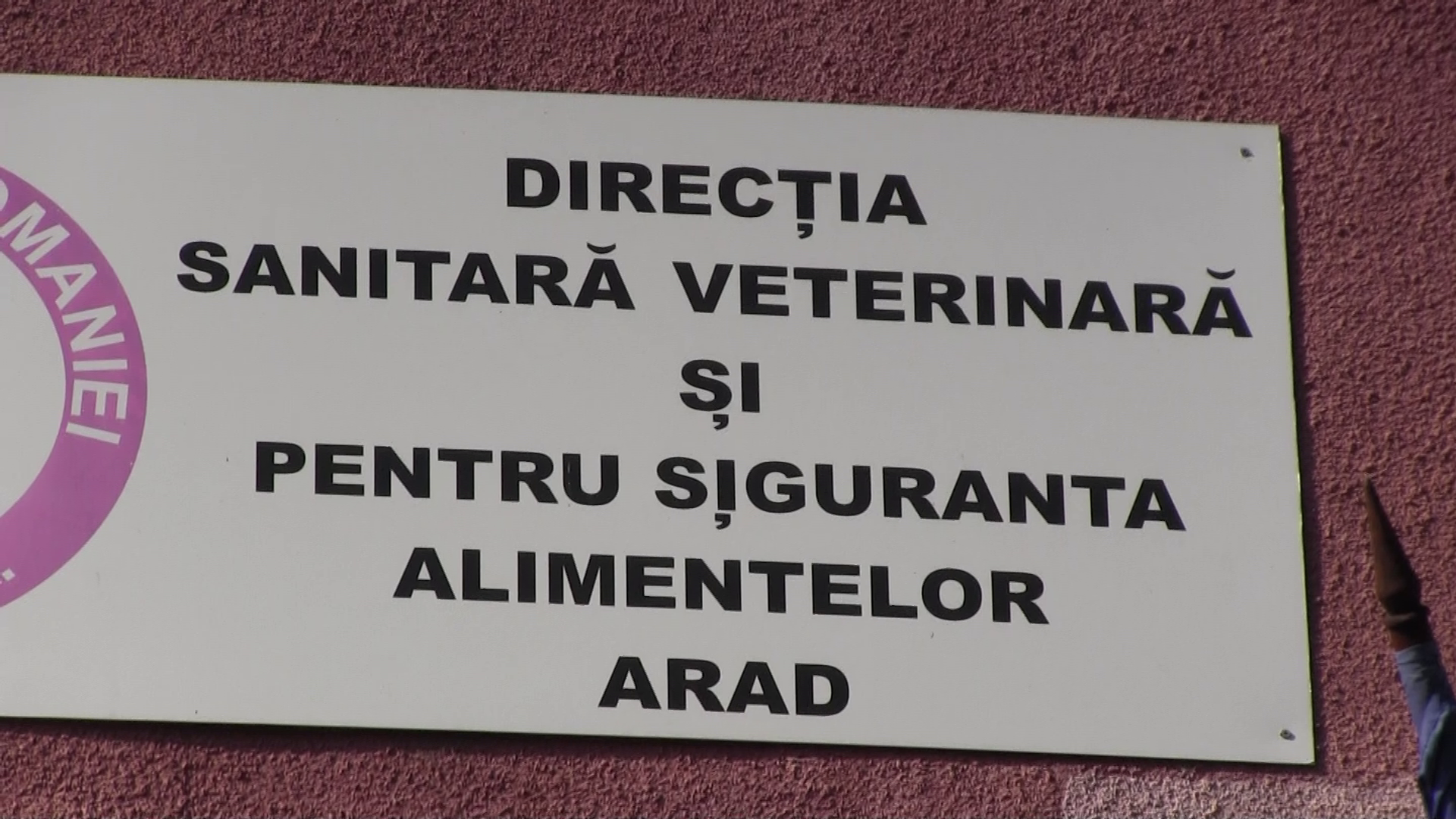 ARADCU 00 DSV CARNE CRISTIAN GORNIC LU18FEB (4)