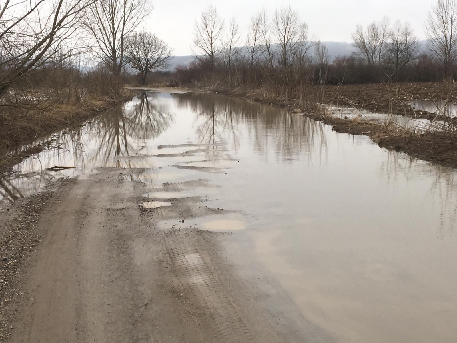 ARADCU 00 INUNDATII DRUM JUDETEAN INUNDAT DIECI MA05FEB (8)