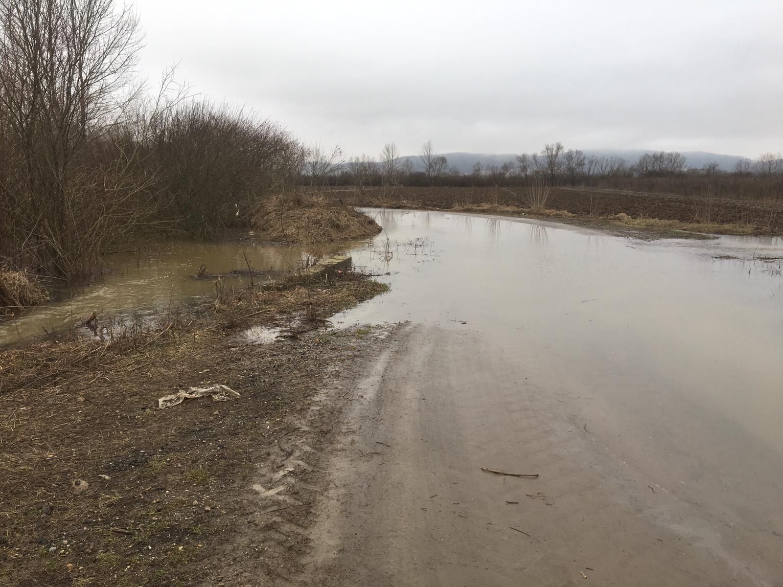 ARADCU 00 INUNDATII DRUM JUDETEAN INUNDAT DIECI MA05FEB (9)