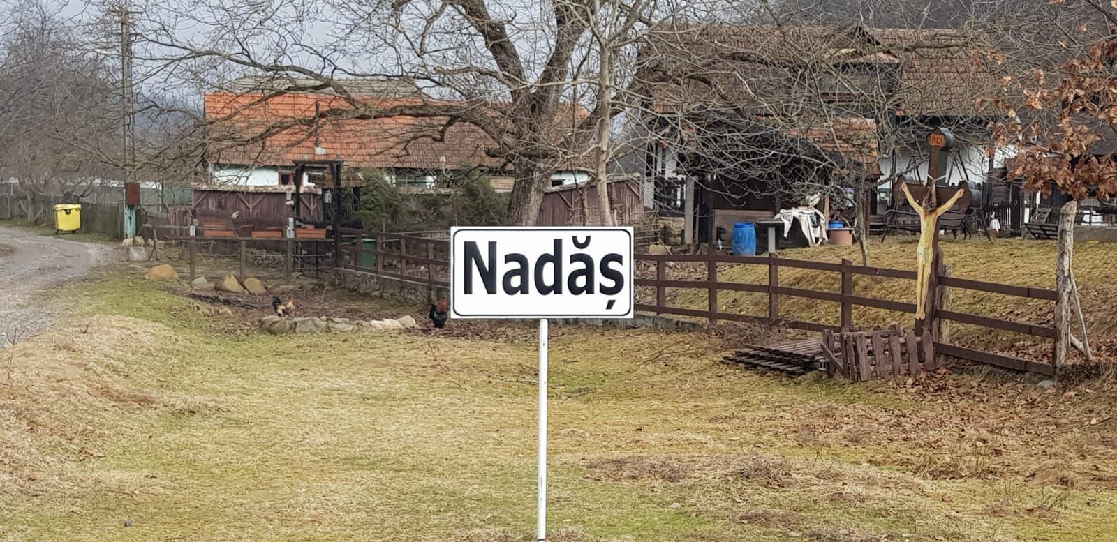 ARADCU 00 NADAS MI06FEB (1)