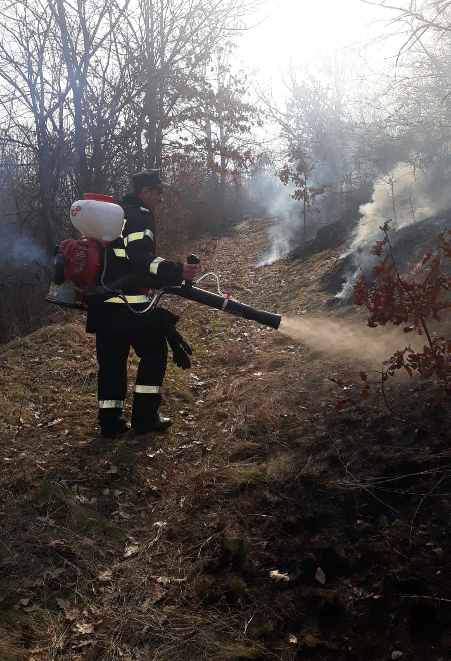 ARADCU 00 ISU ARAD DUM03MART 16