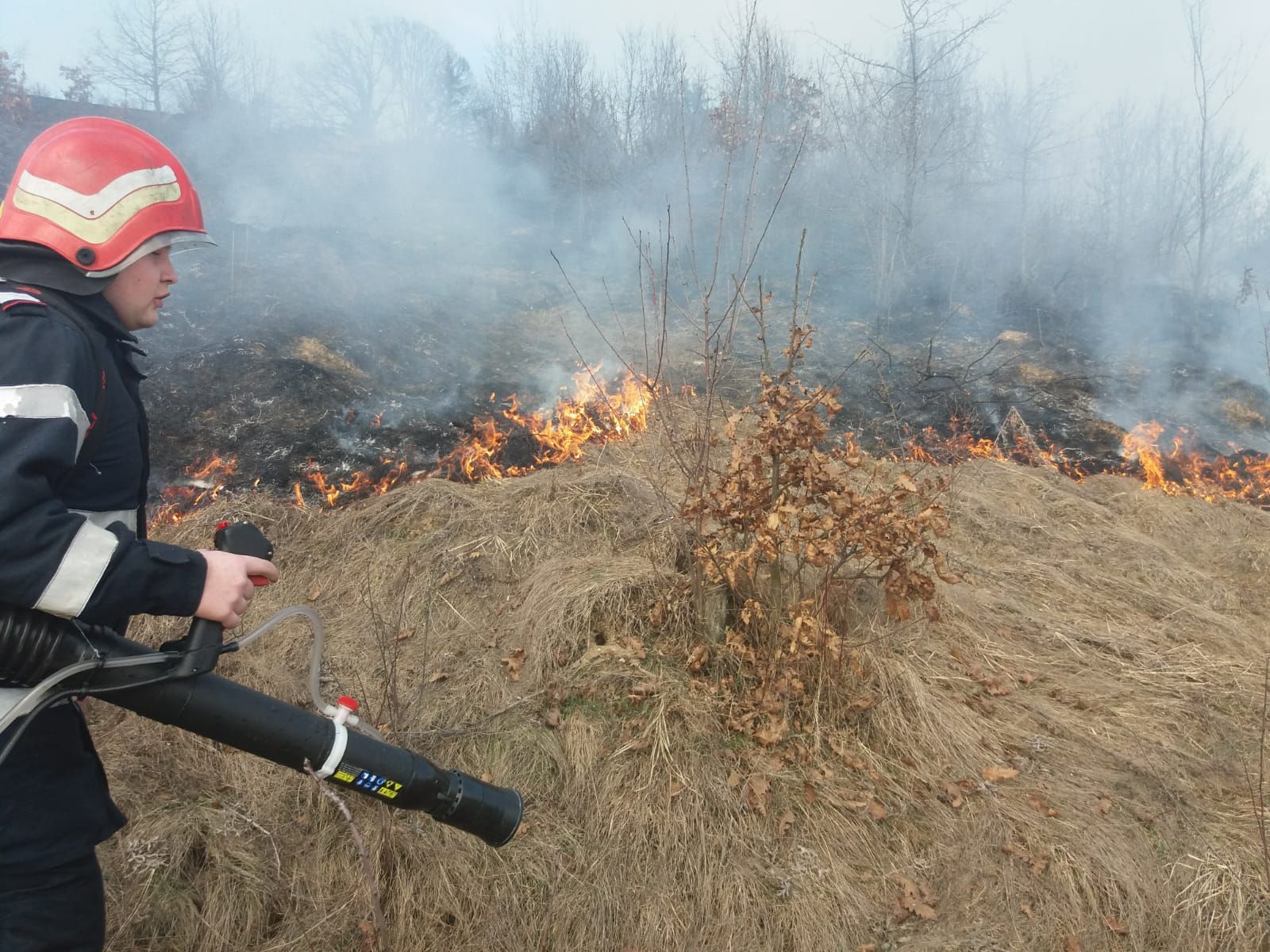 ARADCU 00 ISU ARAD LU04MART 16