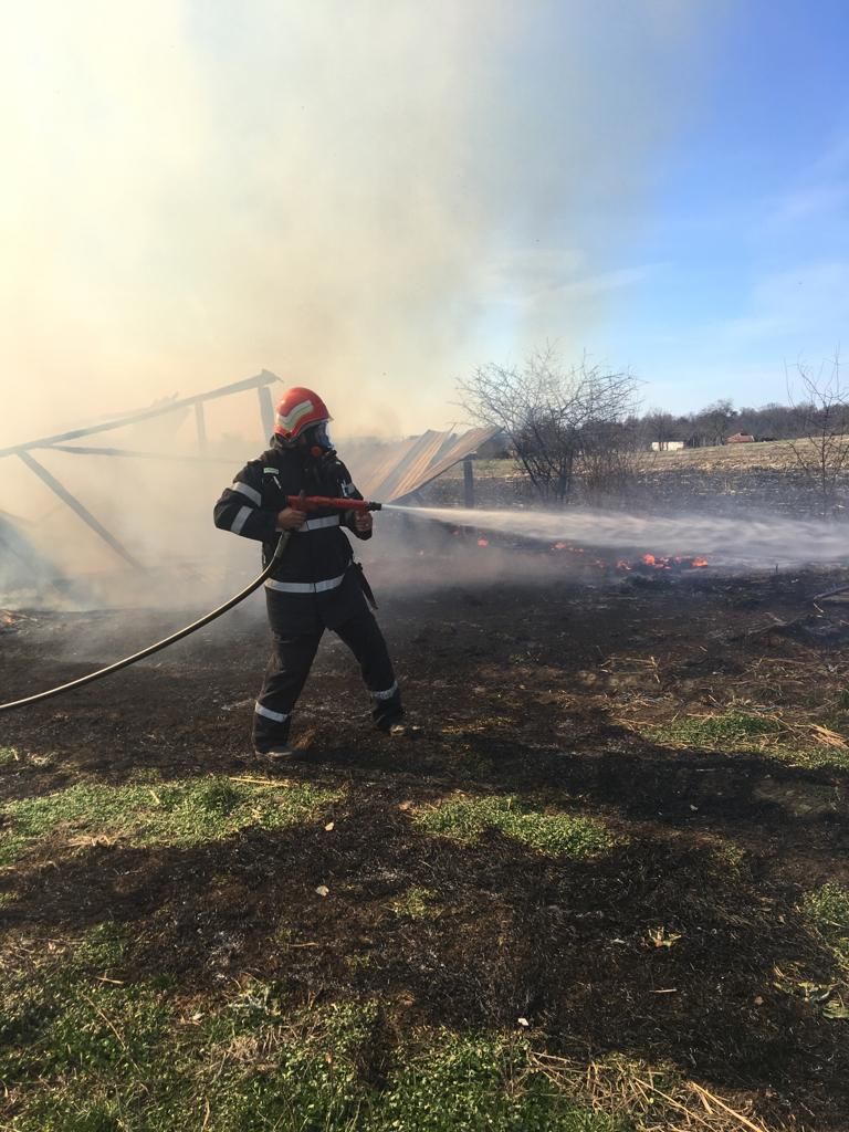 ARADCU 00 ISU ARAD VI29MART (5)