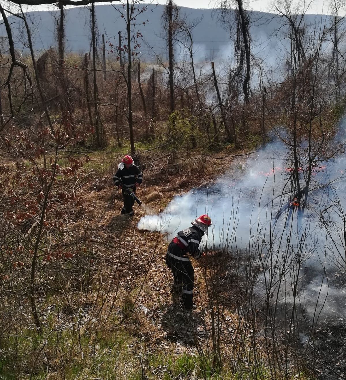 ARADCU 00 DN7 ISU ARAD MA02APR (2)