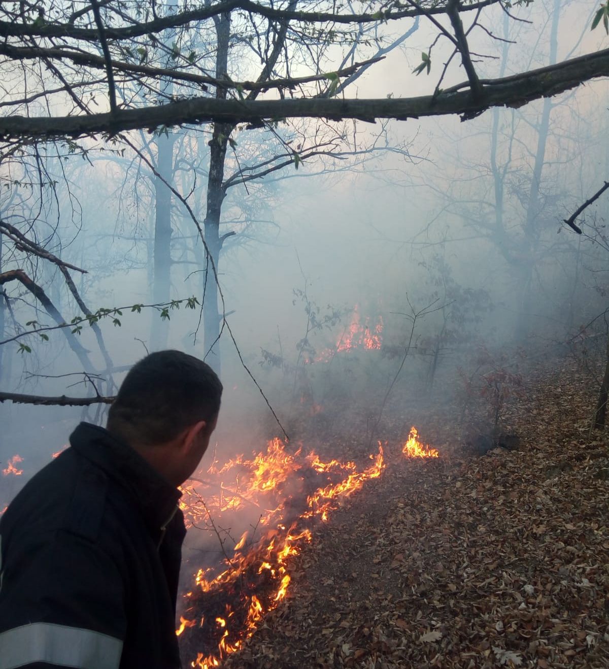 ARADCU 00 ISU ARAD LU01APR (1)