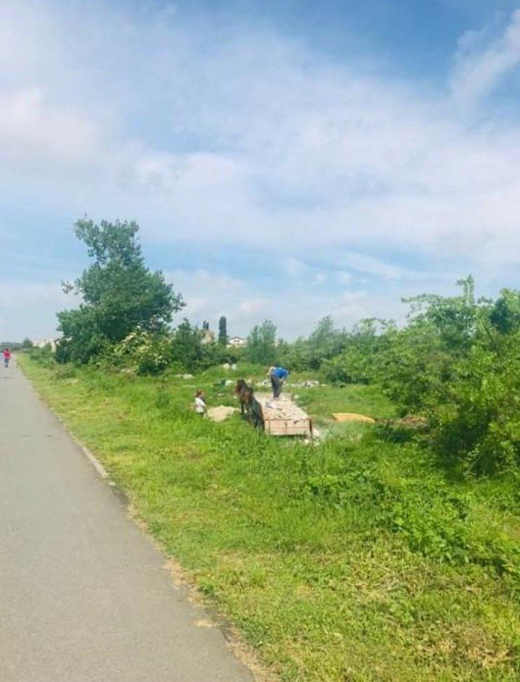 ARADCU 00 CAUCIUCURI DESEURI POLITIA LOCALA ARAD JOI23MAI 3