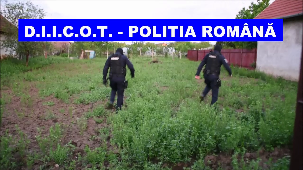 ARADCU 00 DIICOT LU13MAI (1)