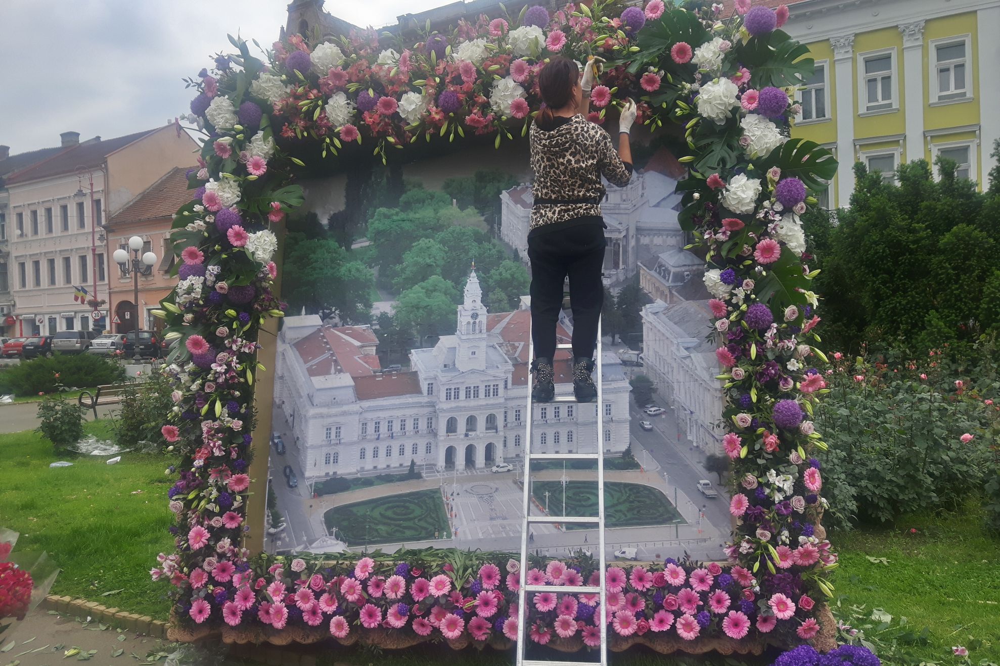 ARADCU 00 FLORAR VI24MAI (15)