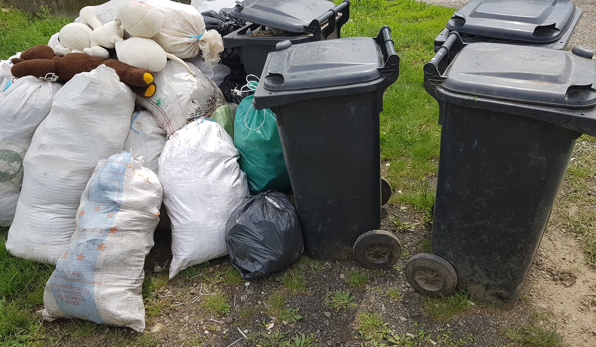 ARADCU 00 GUNOI LIPOVA MI08MAI