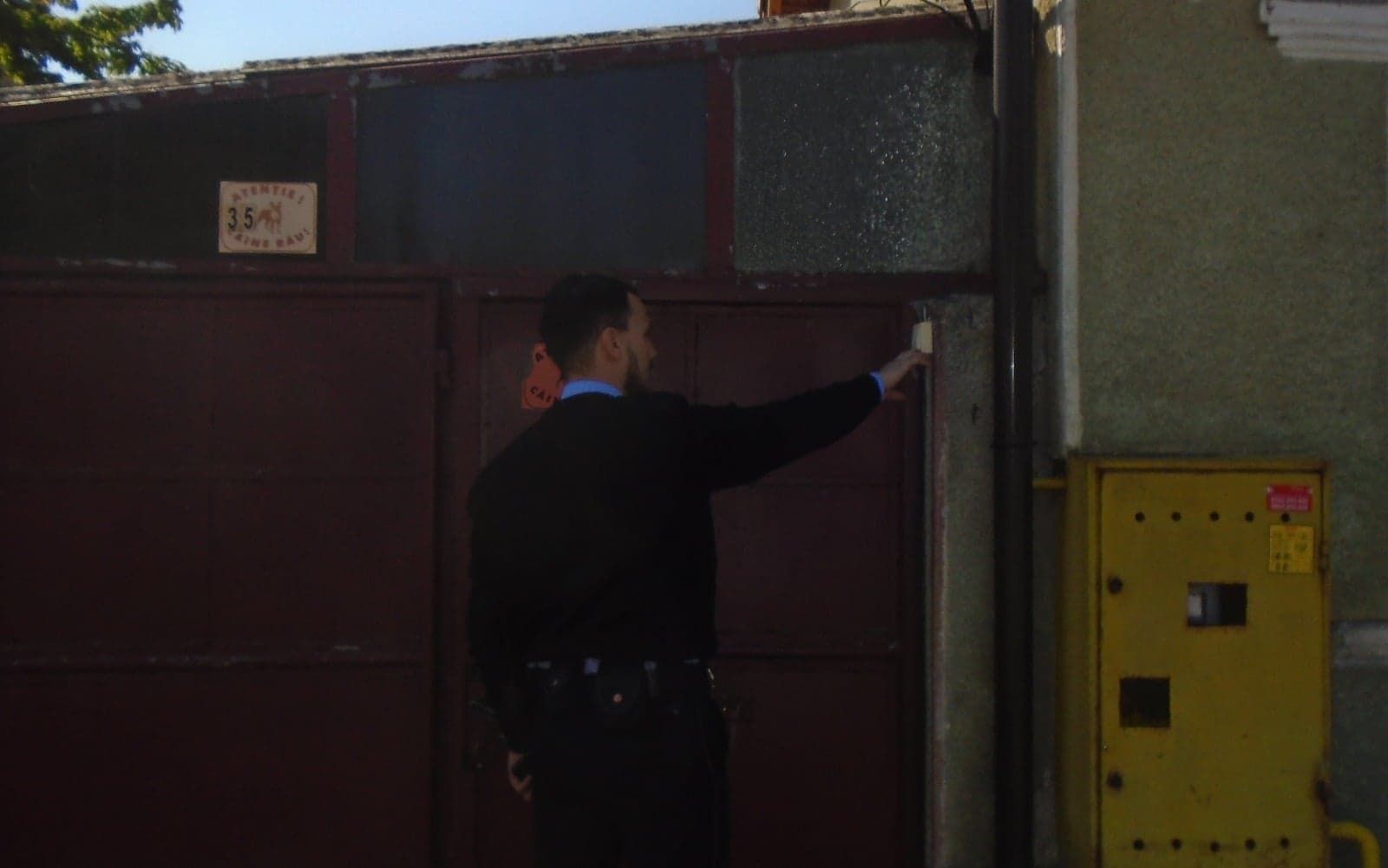 ARADCU CAINI POLITIA LOCALA ARAD MA07MAI (1)